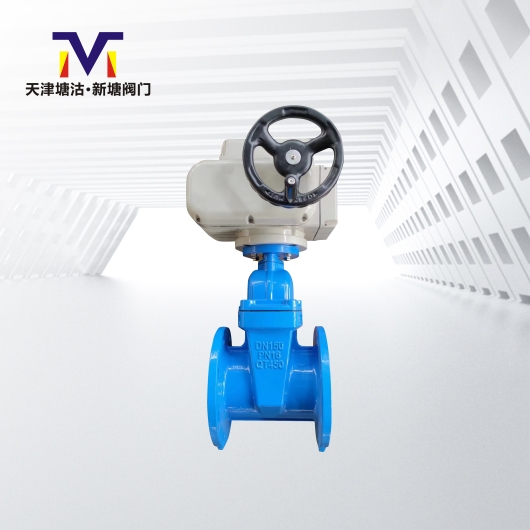 電動暗桿橡膠閘閥